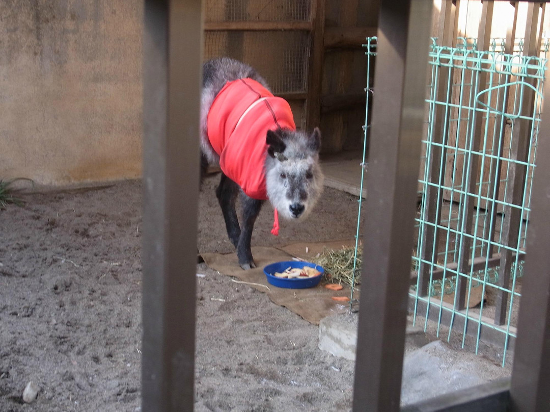 Suzaka City Zoo-须坂市必去景点