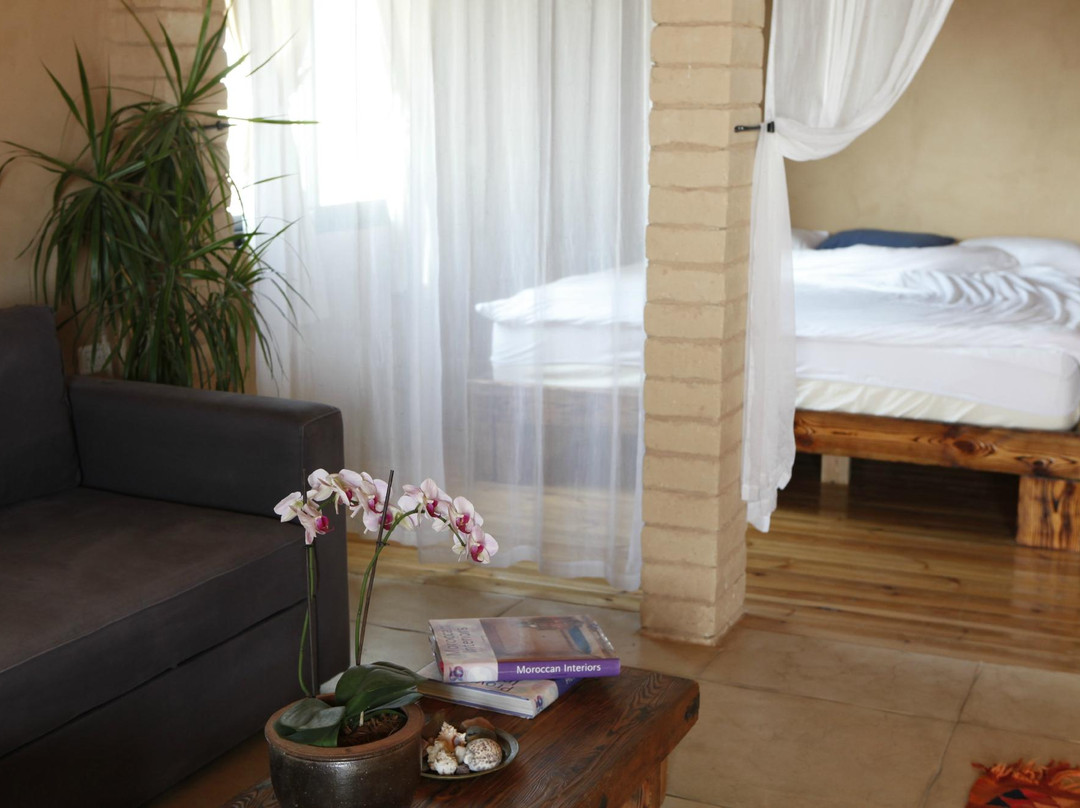 Desert Roof Top主图