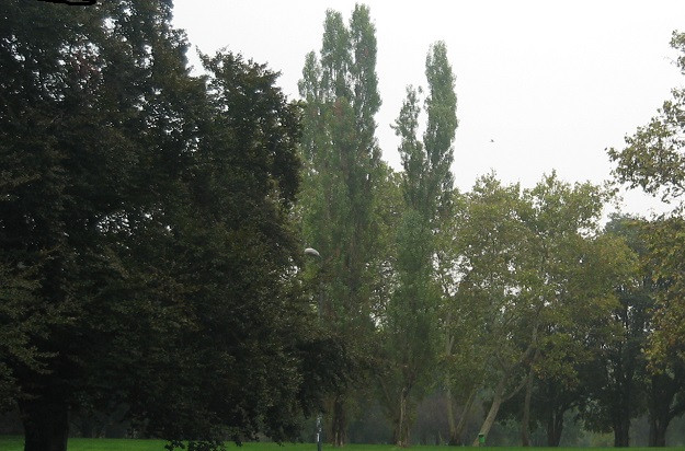 Parco Lambro-米兰必去景点