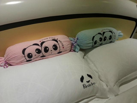 峨眉山逍遥熊猫民宿主图