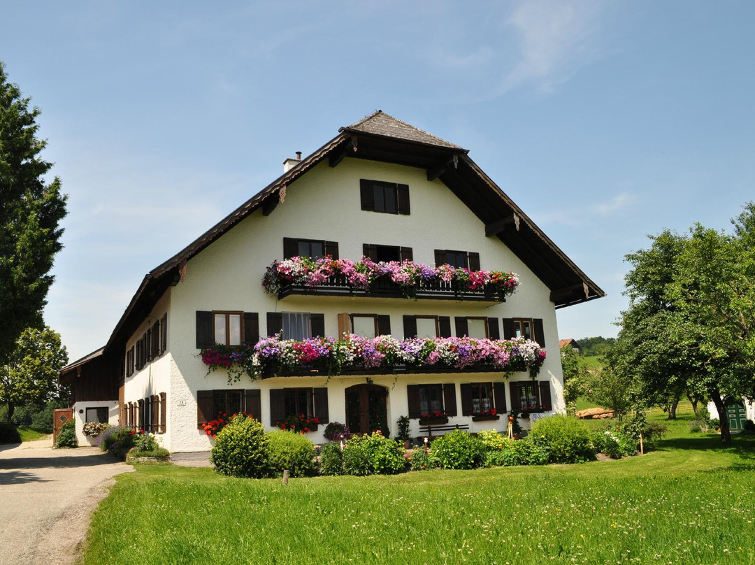Zell am Moos酒店住宿-Rauhbergerhof