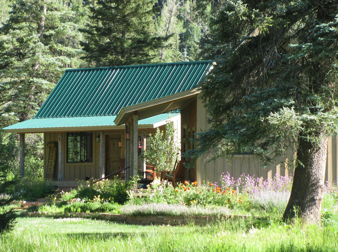 The Cabins at Bear Creek