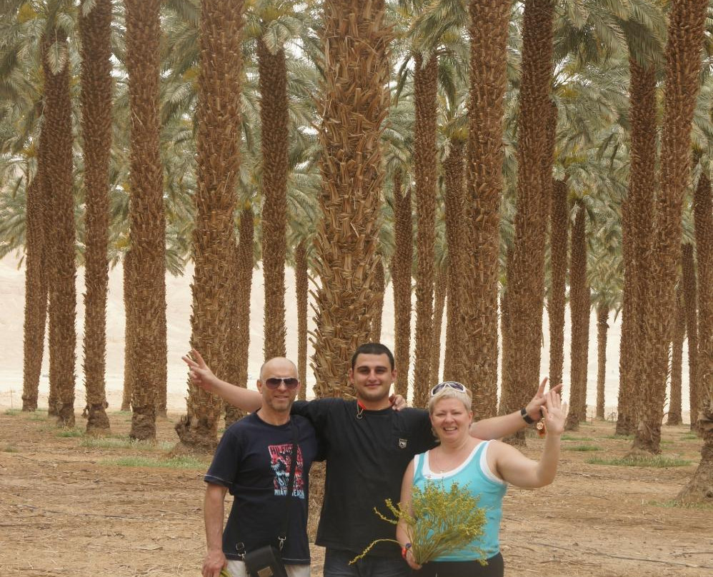 JW Tours Day Tours-Arad必去景点