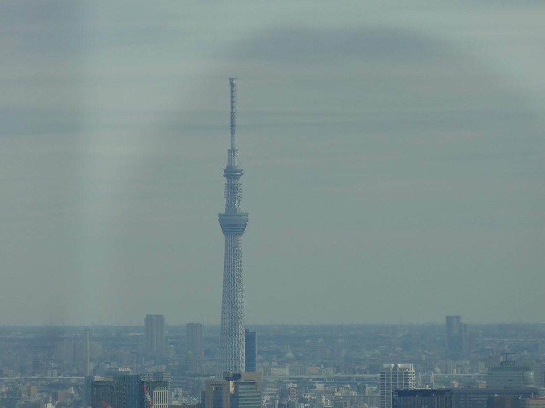 东京都政府办公楼-Nishishinjuku必去景点