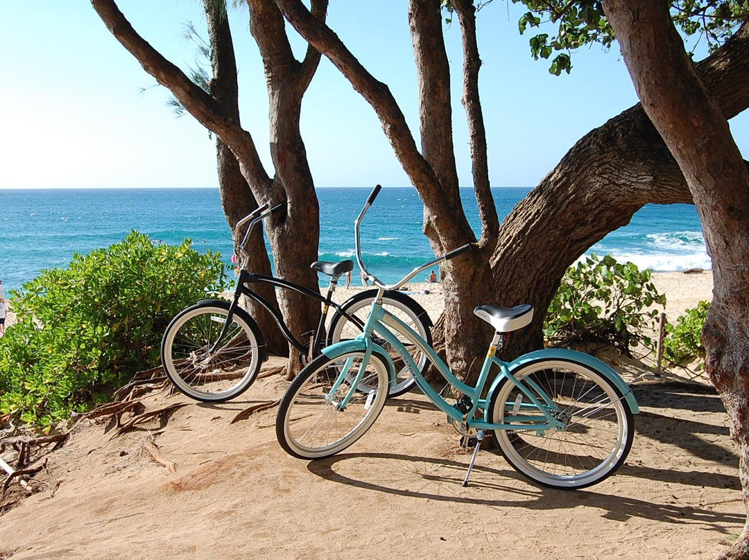 North Shore Bike Rentals-哈雷瓦必去景点