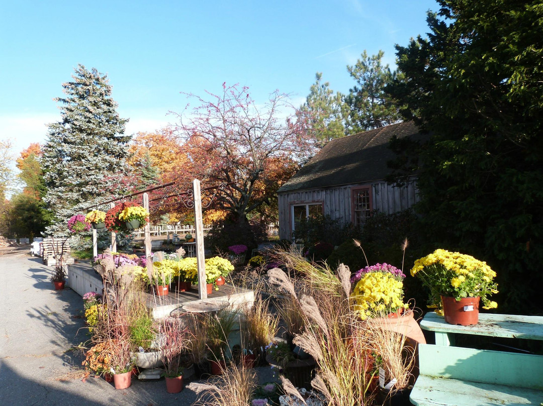 Brookdale Fruit Farm景点图片