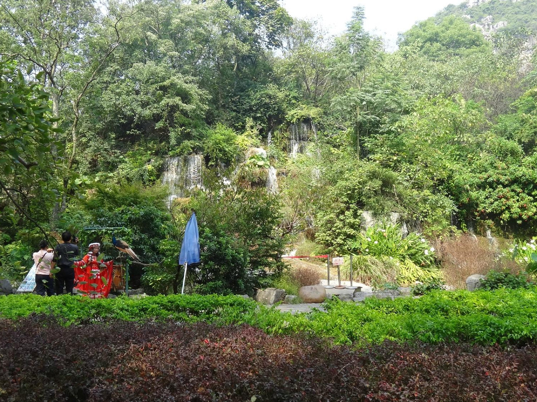 七星公园景点图片
