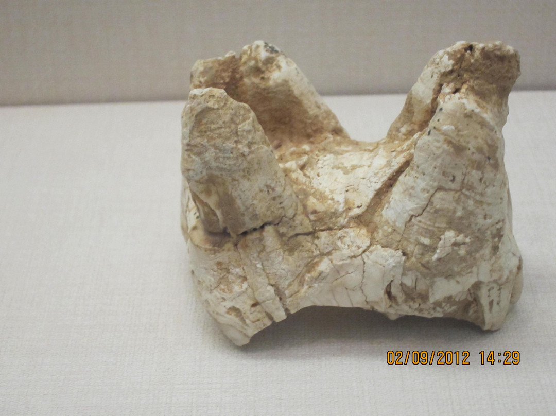 湖南省博物馆-长沙市必去景点