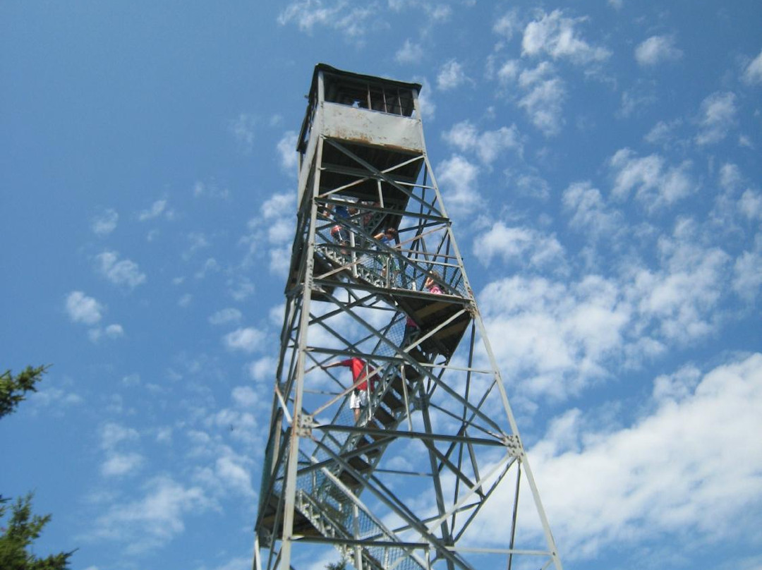 Healdville Trail-Ludlow必去景点