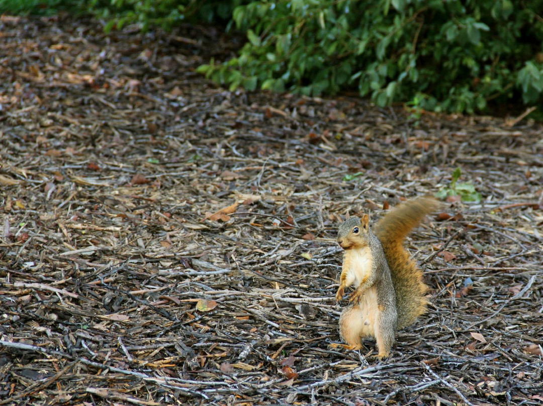 OPPD Arboretum-奥马哈必去景点