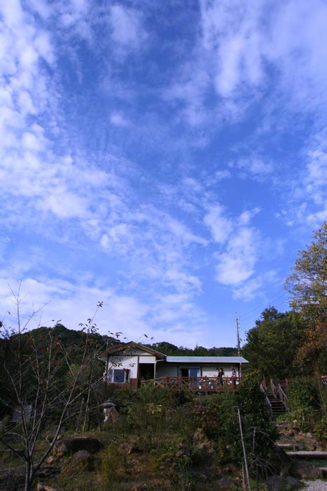 Cottage Woodpeck-官方