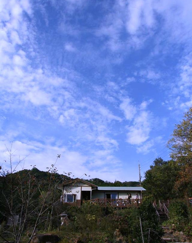 Cottage Woodpeck主图