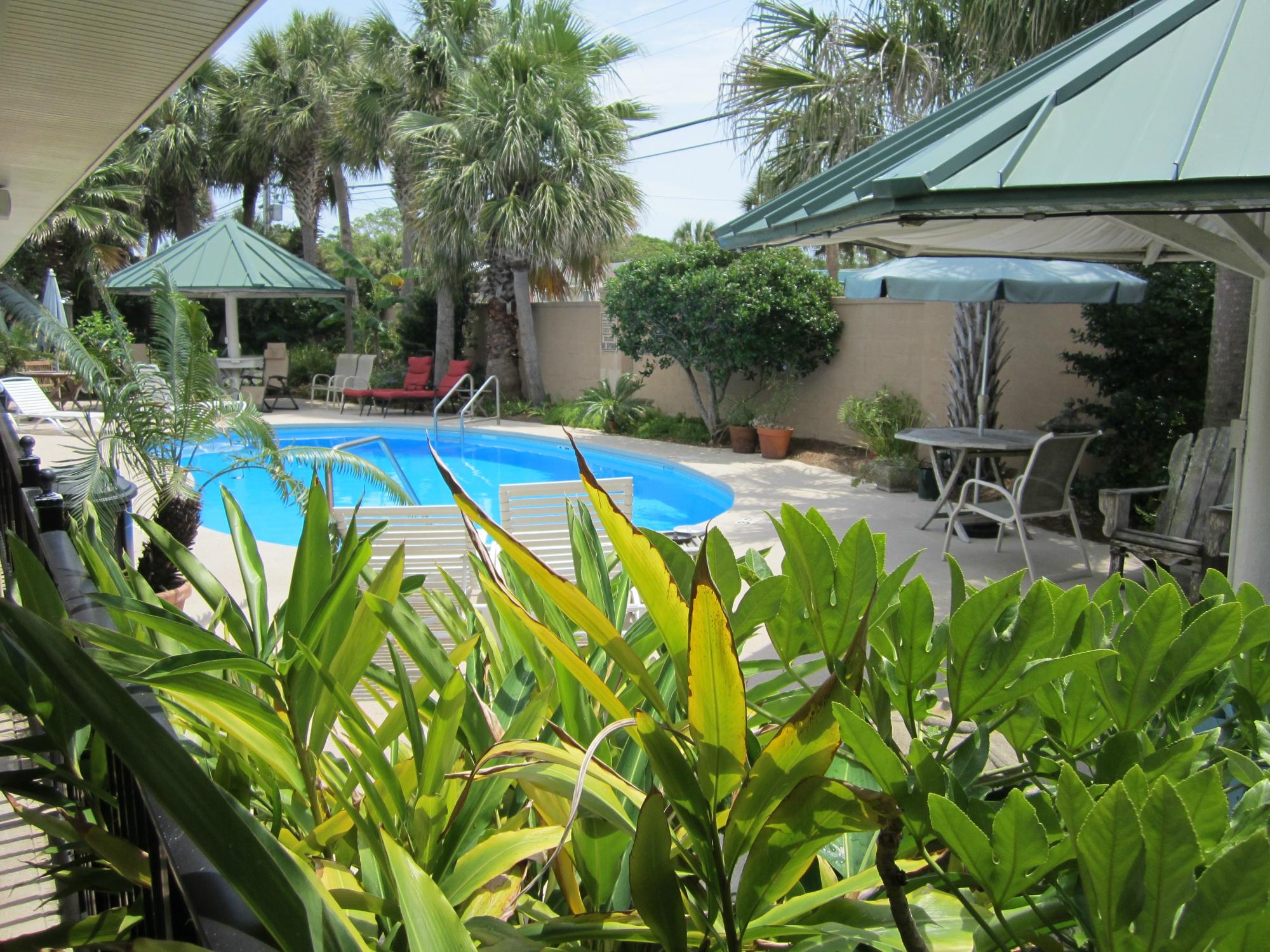 Wisteria Inn-泳池