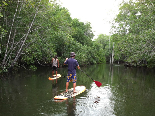 Costa Rica Surf & SUP-圣特雷莎必去景点