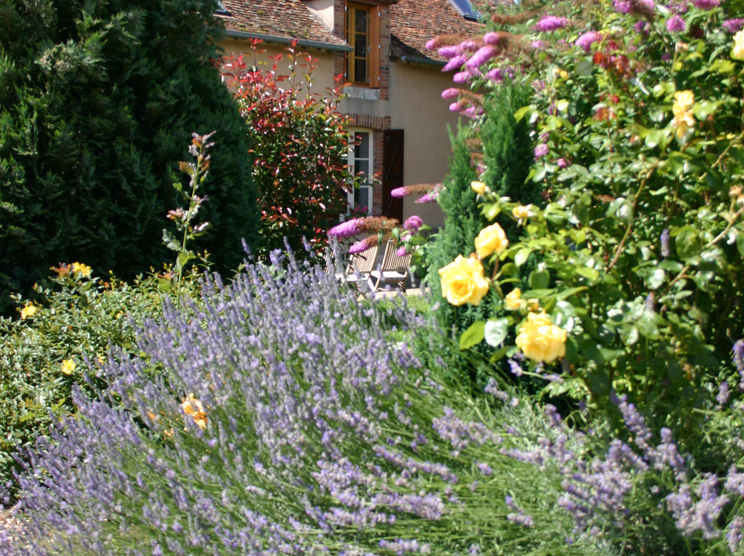 Ferme des Gorgeats主图