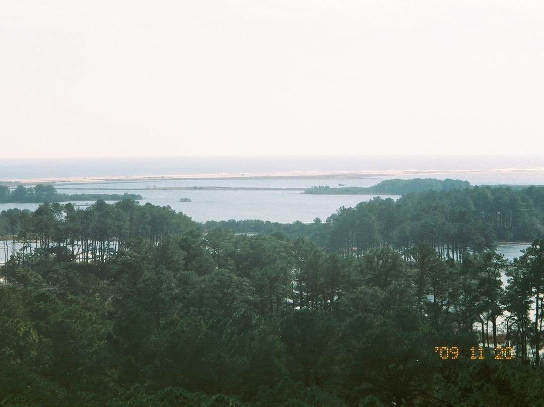 Chincoteague National Wildlife Refuge景点图片