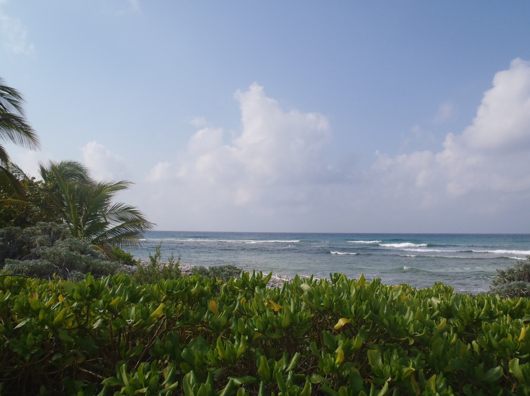 West End Point Outlook-Cayman Brac必去景点