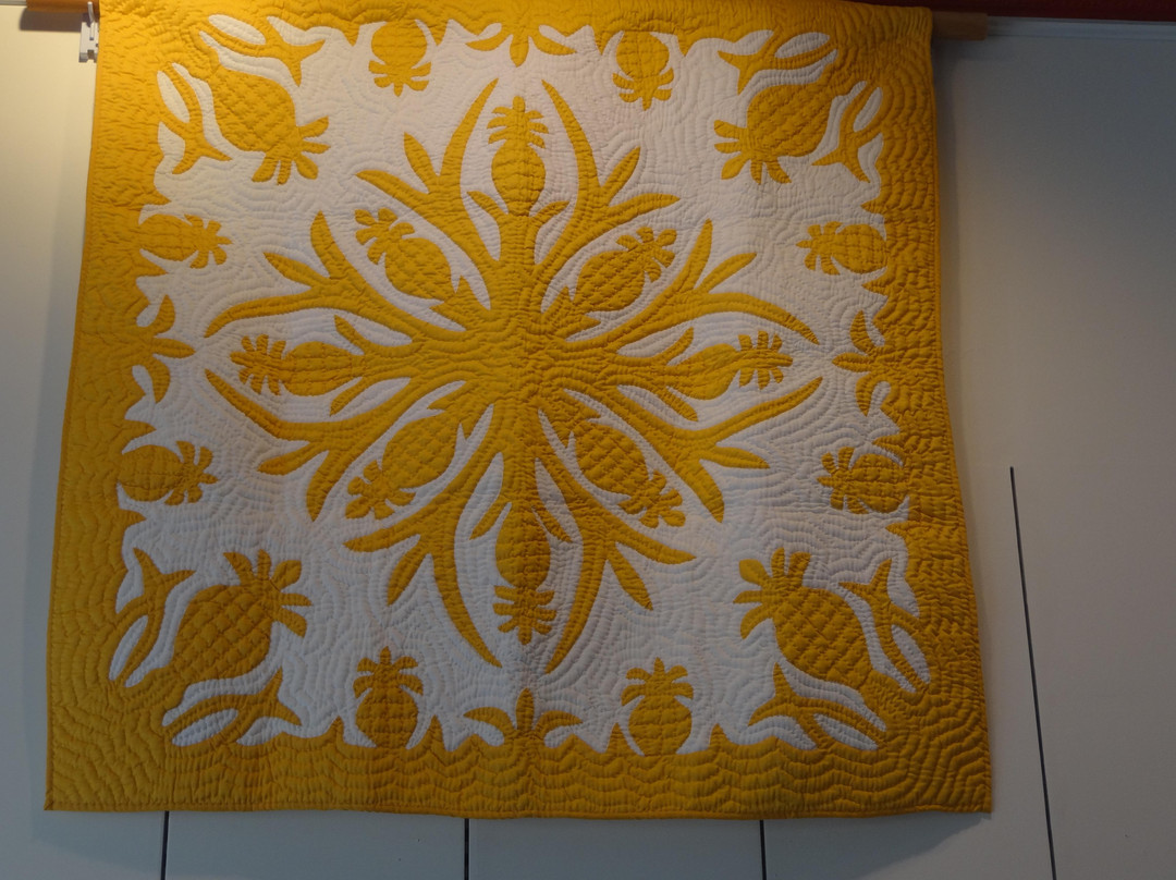Hawaiian Quilt Collection & Class-普阿克必去景点