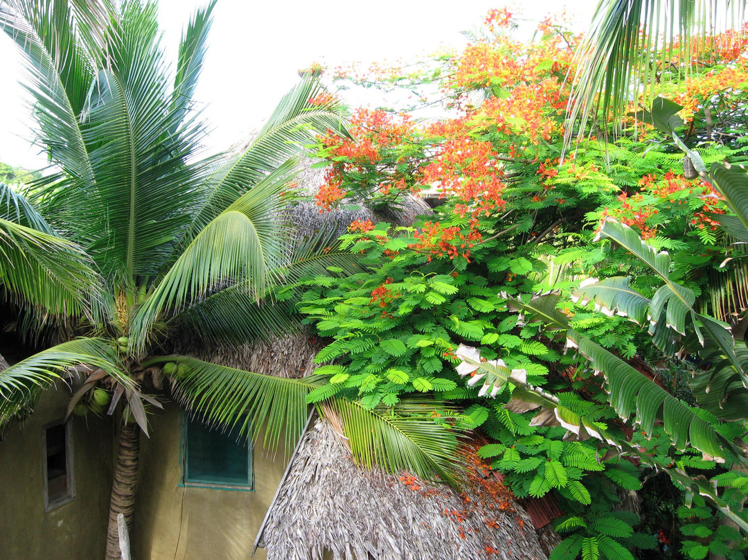 Posada Castillo Oasis主图