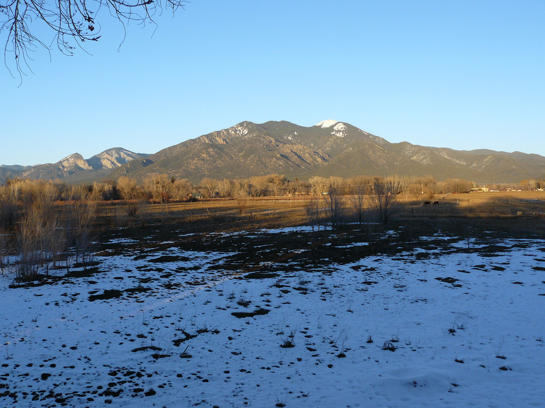 Orinda Bed and Breakfast主图