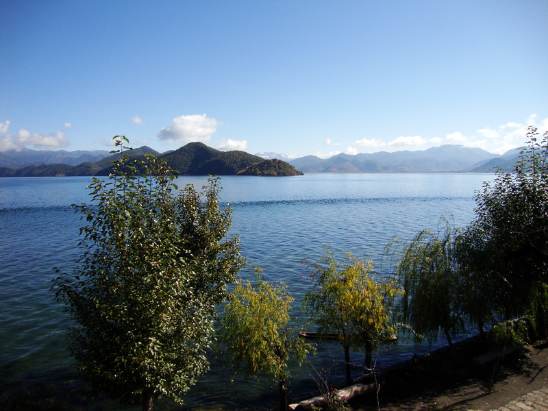 湖思茶屋国际青年旅舍-浴室
