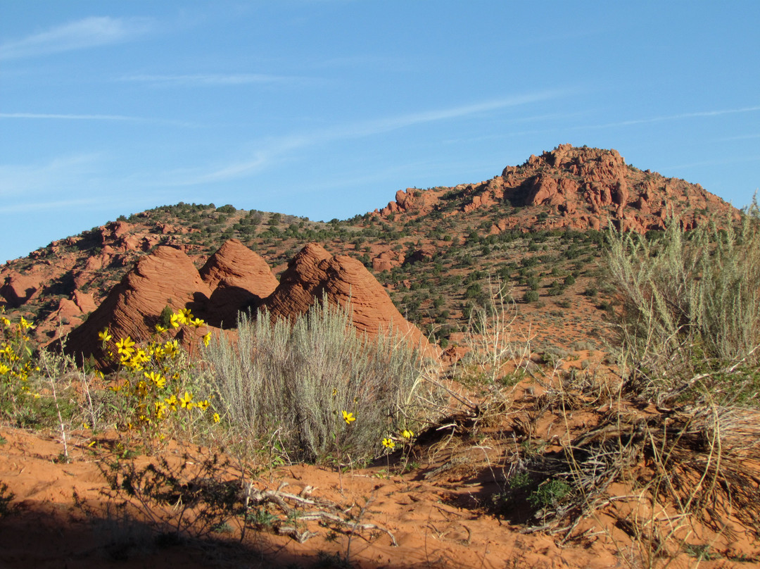 狼丘石浪-比格沃特必去景点