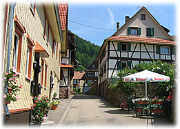 Gasthof Gruener Baum-官方