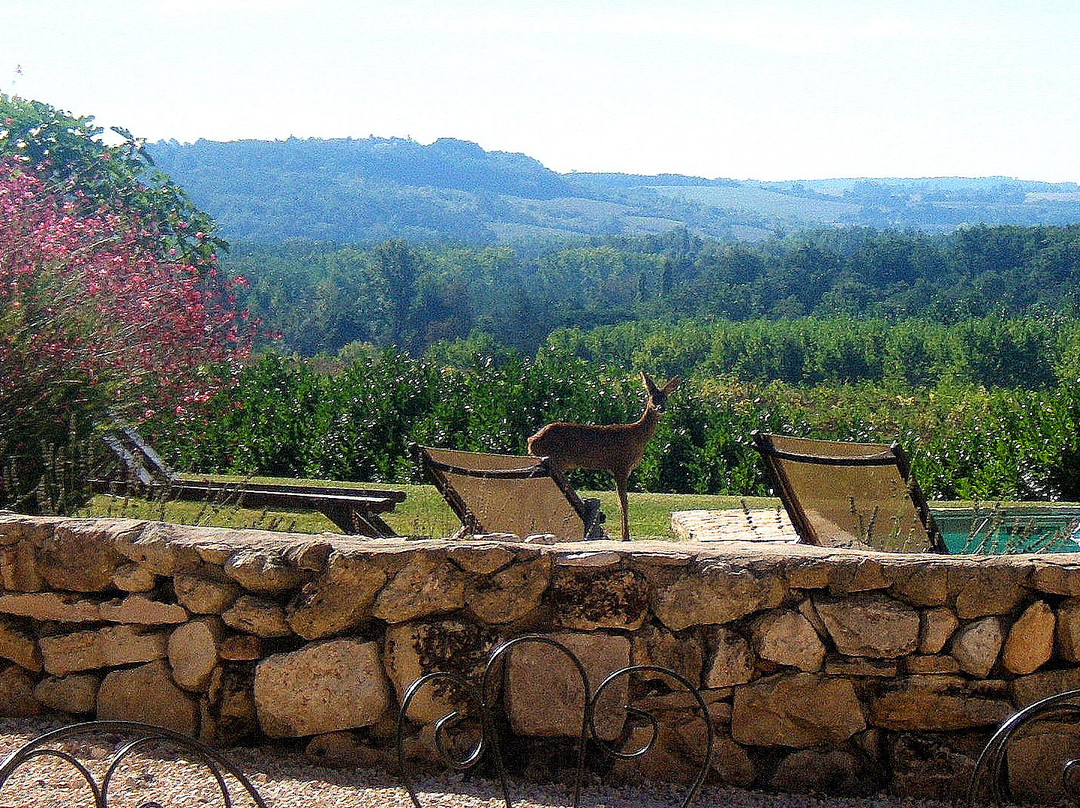 Mas de Campech主图