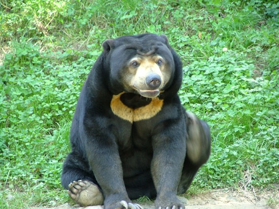 ZooParc de Trégomeur景点图片