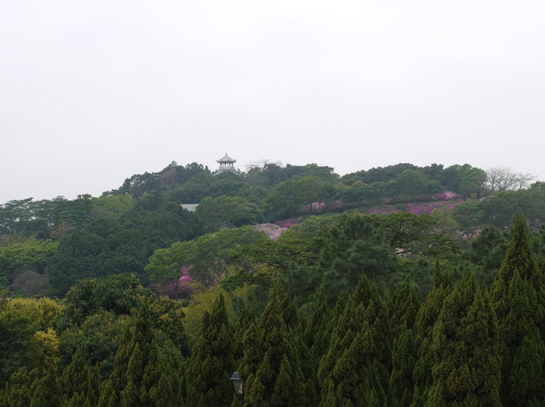 孙文纪念公园-中山市必去景点