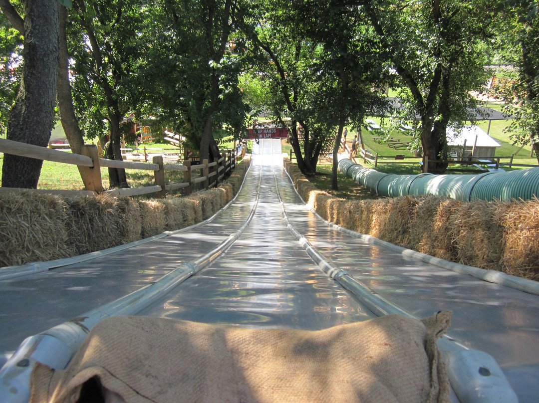 Cherry Crest Adventure Farm-Ronks必去景点