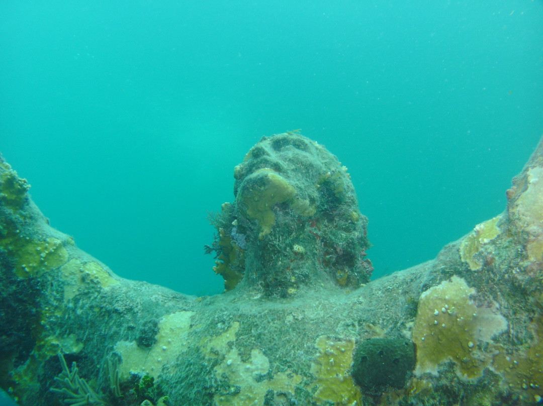 Blue Water Divers-拉哥岛必去景点