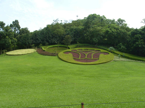 白云山摩星岭-广州市必去景点