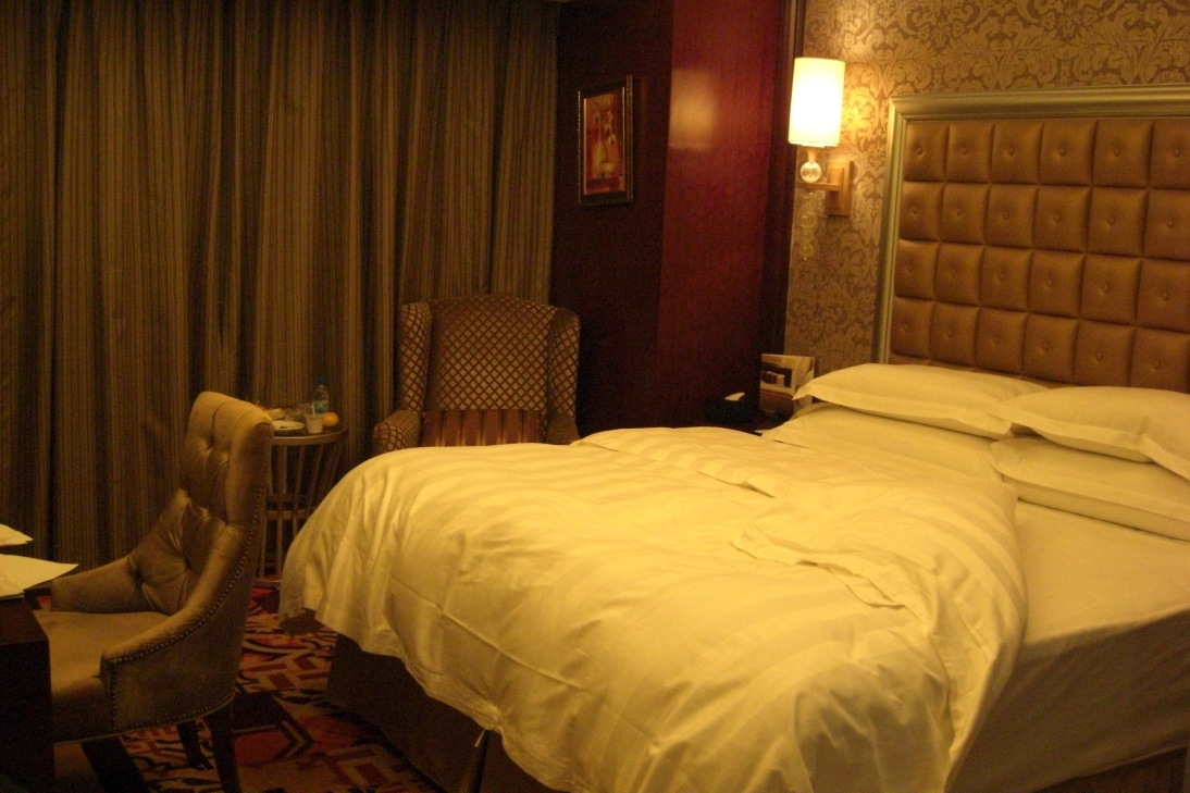 沈阳皇朝万鑫酒店-客卧