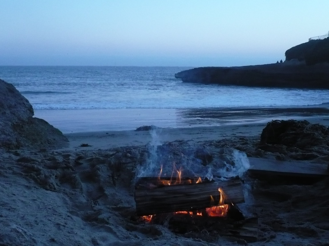 Sunny Cove Motel Apartments主图