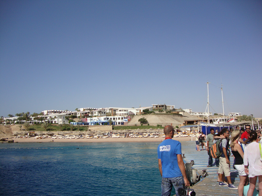 Shark's Bay Beach-沙姆沙伊赫必去景点