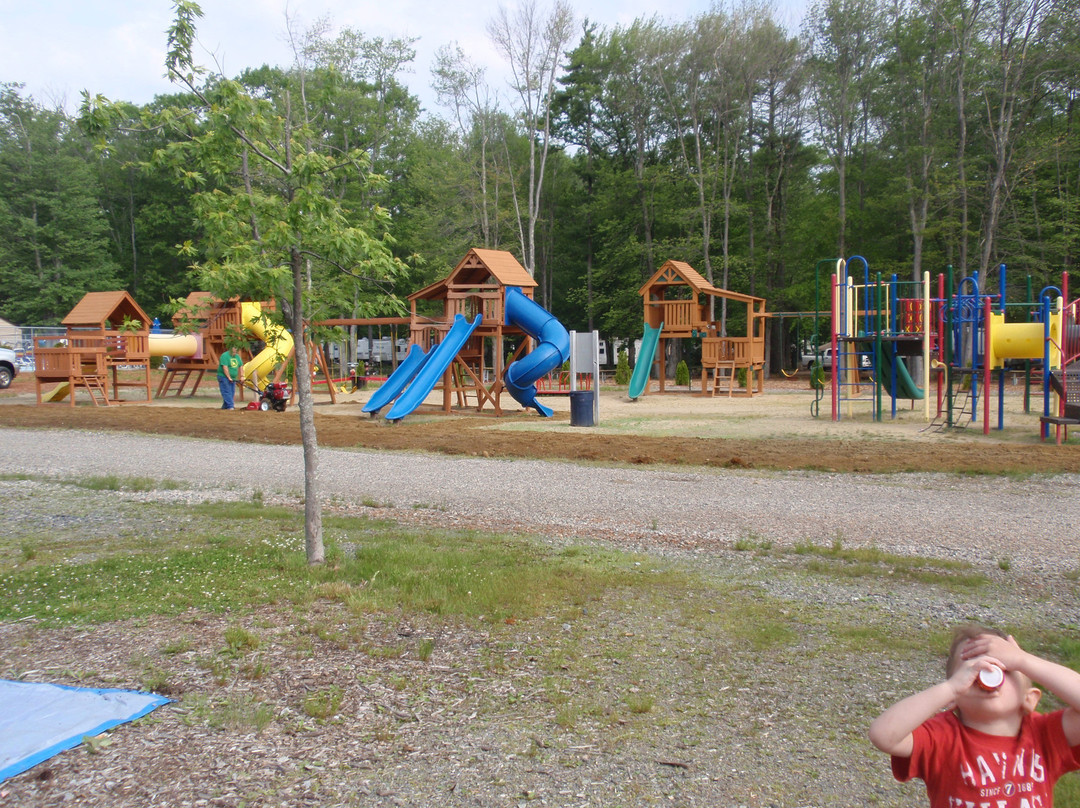 Black Bear Campground