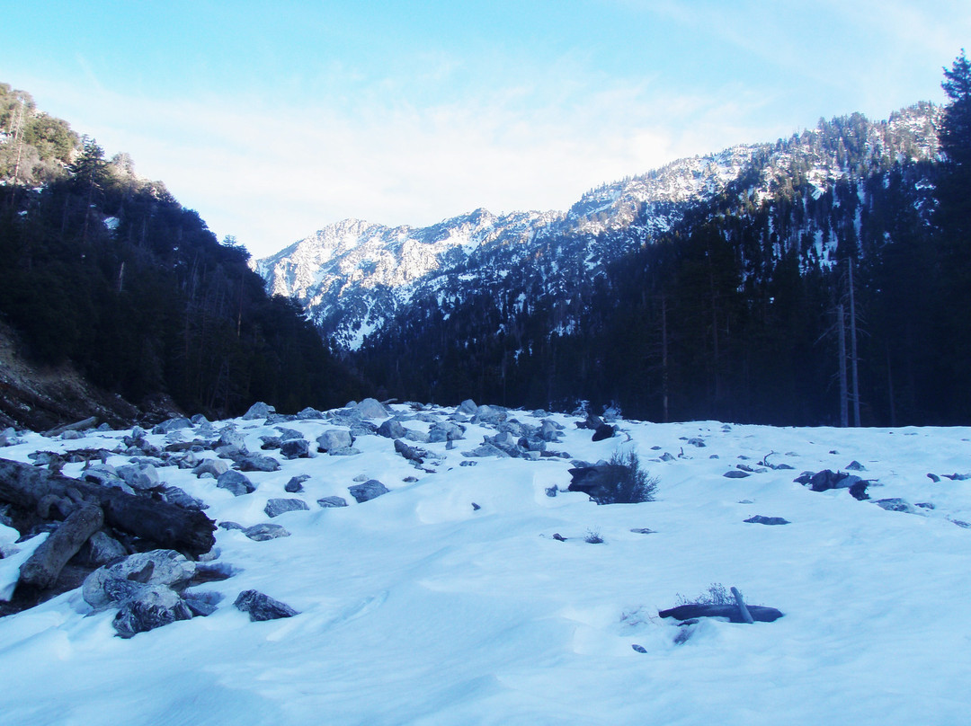 San Bernardino National Forest-圣贝纳迪诺必去景点