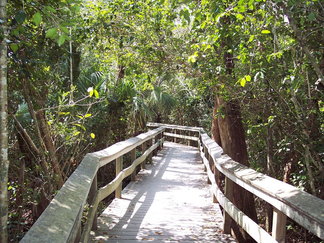 Mahogany Hammock-大沼泽国家公园必去景点