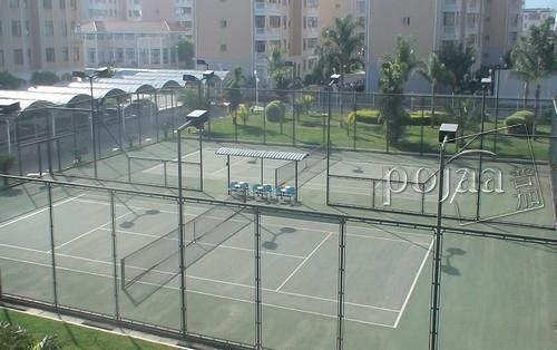 金鼎大酒店主图