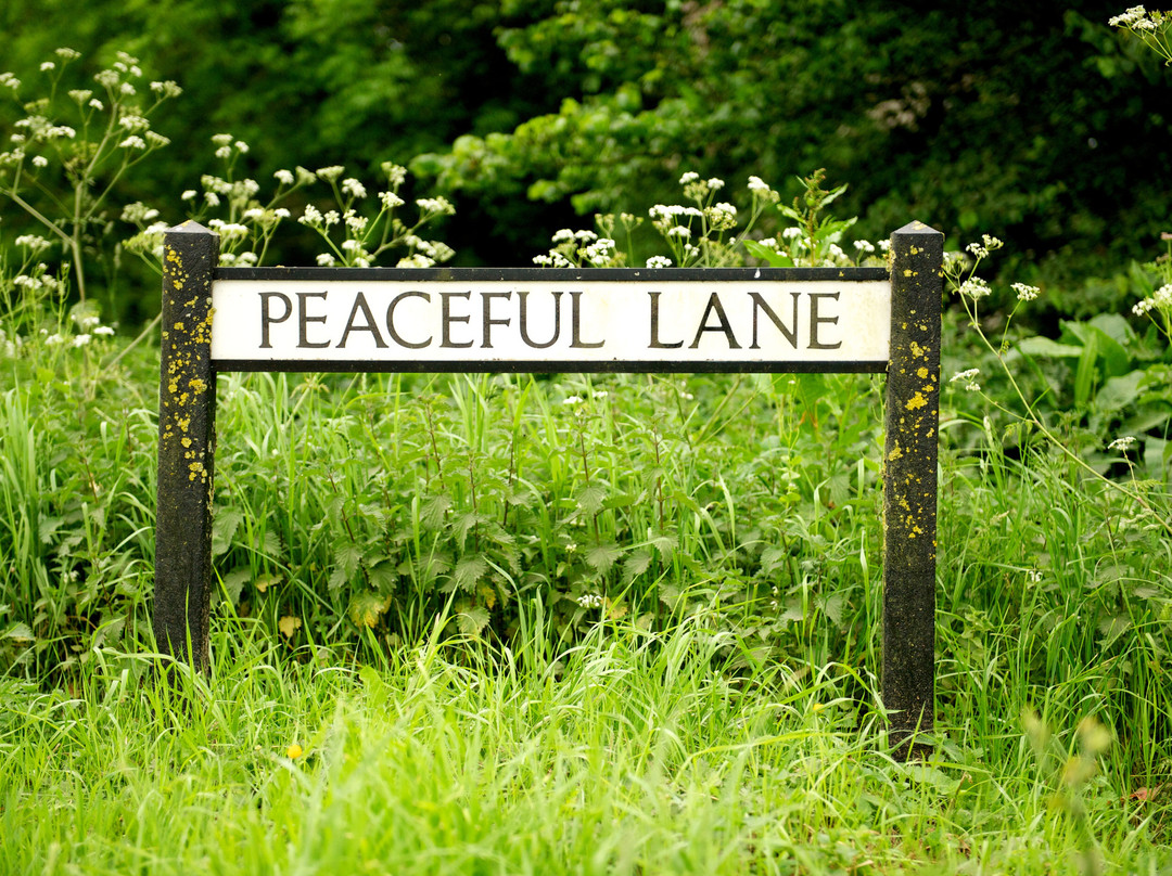 Middle Piccadilly Rural Retreat主图