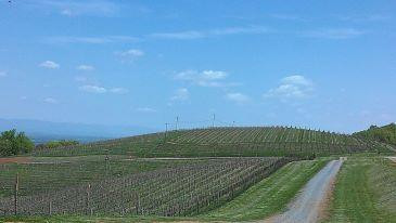 Carter Mountain Orchard-夏洛茨维尔必去景点