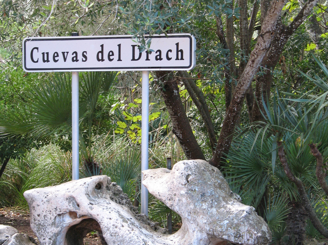 Cuevas del Drach-克里斯托港必去景点