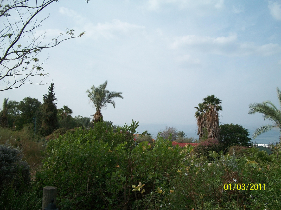 Mool Hanof