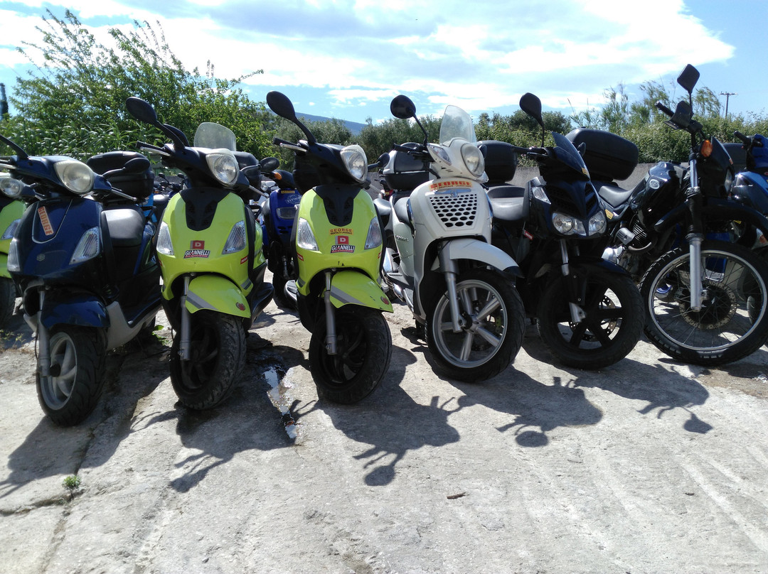 George & Nick Rentals-扎金索斯镇必去景点