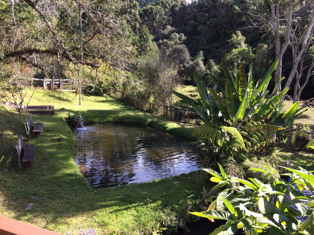 Restaurant Da Vilma主图