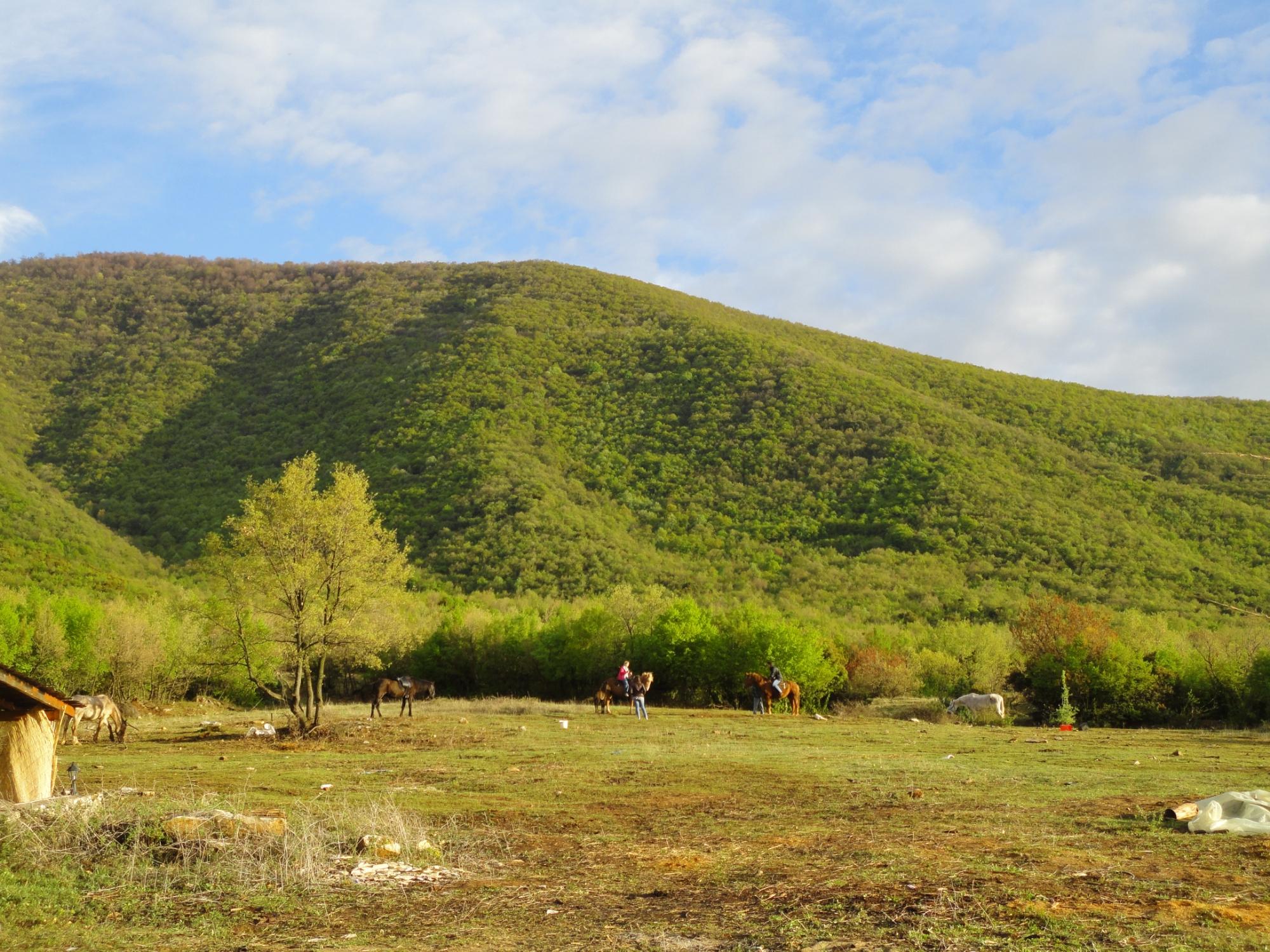 The Wooden Village-官方