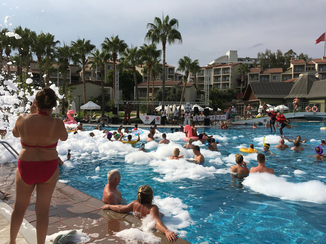 Arum Barut Collection主图