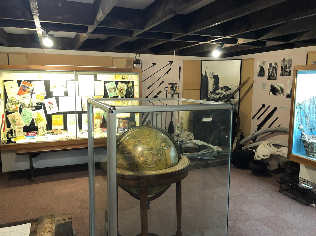 Rakiura Museum景点图片