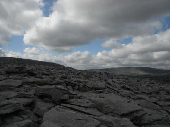 Burren Wild Tours景点图片